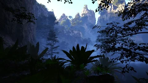 Rocks and greenery within a quiet forest Stock Footage 321587048