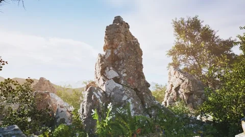 Rocks and greenery within a quiet forest Stock Footage 321589912