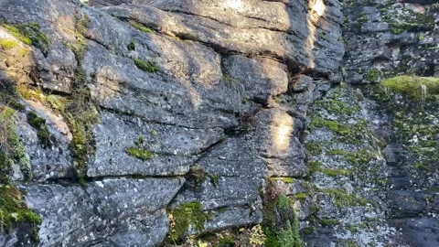 Rocks And Moos Stock Footage 253162403