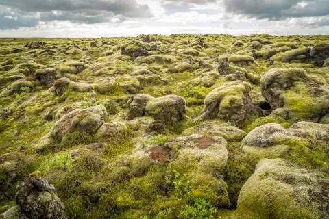 Rocks and moss 스톡 사진