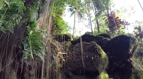 Rocks and Moss by the river in the forest Stock Footage 41379120