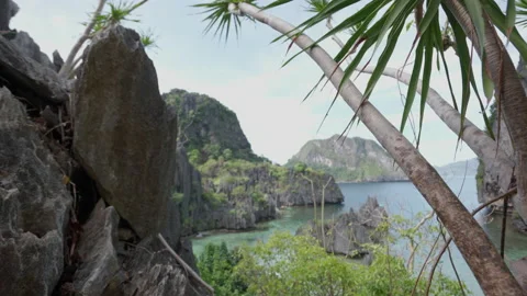 Rocks And Palm Trees On Hidden Beach Video stock 193986718