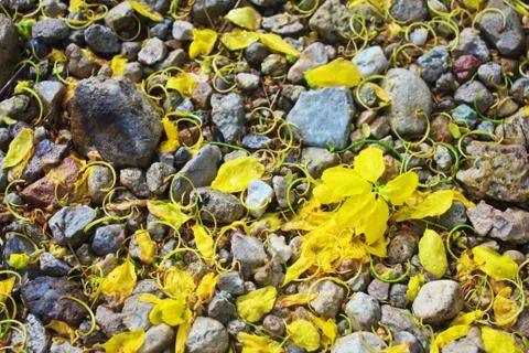 Rocks and pebbles Stock Photos