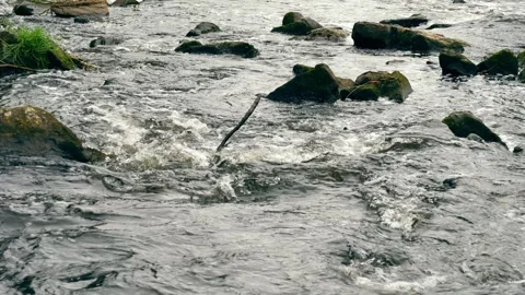 Rocks and pebbles by river side water Stock Footage 250512340