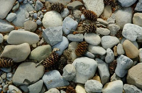 Rocks And Pinecones Stock Photos
