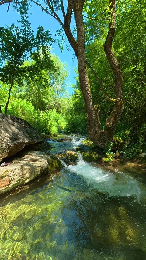 Rocks and roots frame the rushing. Gradasnica River Canyon, Vertical Vídeo Stock 342327467