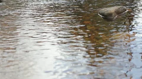Rocks and running water Stock Footage 11017345