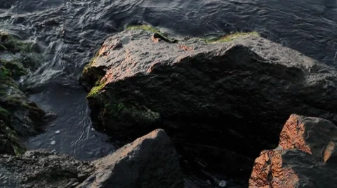 Rocks and Sea Stock Footage 8691690