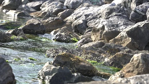 Rocks and sea Stock-Footage 311490715