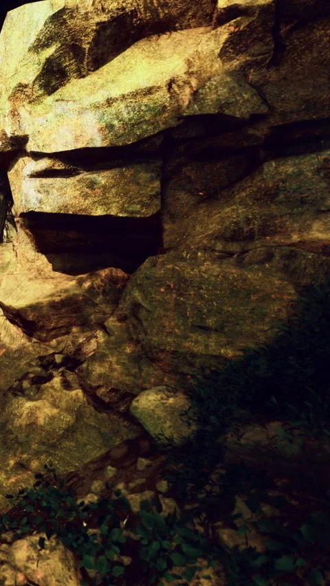 Rocks and shadows in a natural setting during the day near a forest edge Stock Footage 331683378