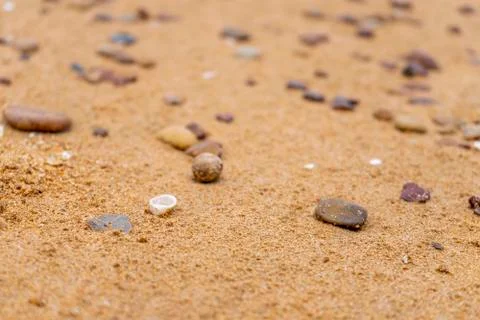 Rocks and shells on the beach copyspace Stock Photos