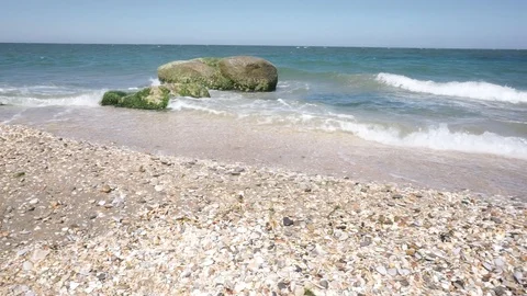 Rocks and shells Stock Footage 112890009