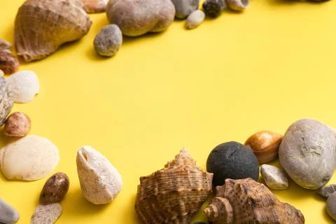 Rocks and shells on a yellow background .Marine theme Foto stock