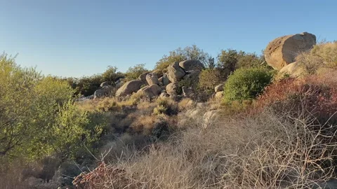 Rocks and shrubs along side of a dirt-road in the wilderness at sunset Stock-Footage 219515848