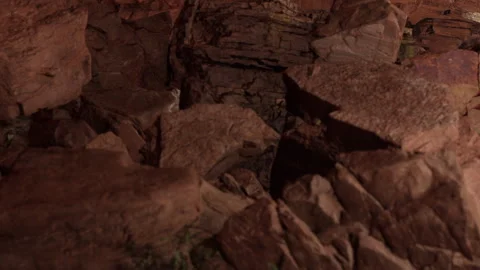 Rocks and stones in a cave environment during evening hours Stock Footage 343534240