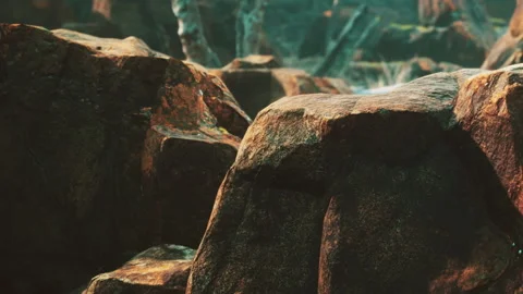 Rocks and stones in natural setting with sunlight hitting surface Stock Footage 341795323
