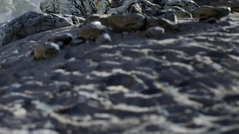 Rocks and terrain with rough texture in a natural outdoor setting Stock Footage 340028355