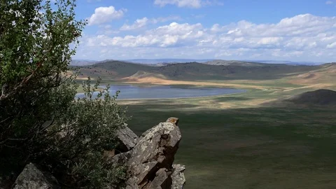 Rocks and a tree against the lake and mountains under a cloudy sky. Video stock 85178556