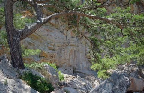 Rocks and trees Stock Photos