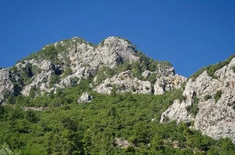 Rocks and trees Stock Photos