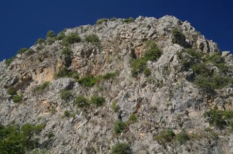 Rocks and trees Stock Photos