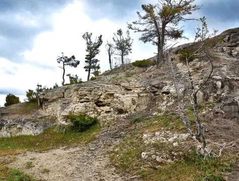 Rocks and trees Stock Photos