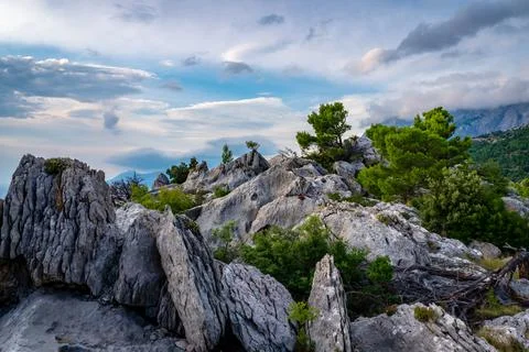 Rocks and trees Stock Photos