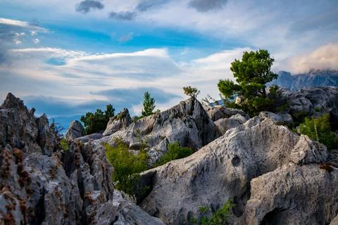 Rocks and trees Stock Photos