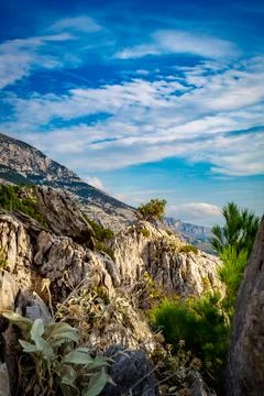 Rocks and trees Stock Photos