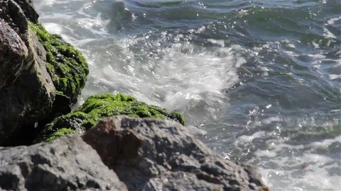 Rocks and waves 1 Stock Footage 73596659