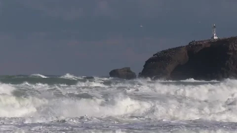 Rocks and waves Stock Footage 147490319