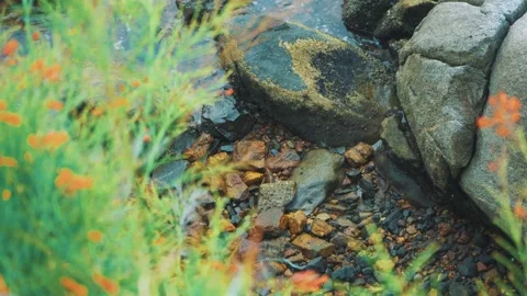 Rocks and waves Stock Footage 149784922