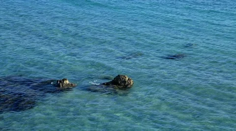 Rocks And Waves In The Sea Vidéo 56537392