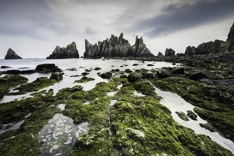 Rocks and waves in the sea. Stock Photos