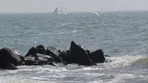 Rocks and yachts Stock Footage 75324723