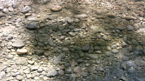 Rocks are visible through the water's clear surface (High Definition) Stock Footage 365017
