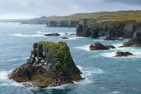 Rocks of Arnarstapi with nesting birds, Iceland, Snaefellsness. Black stone Stock Photos