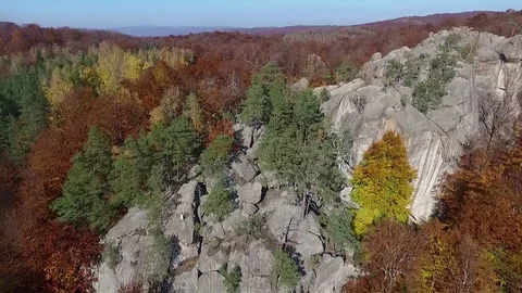 Rocks in the autumn forest Stock Footage 83537308
