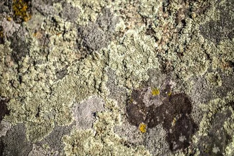 Rocks background another planet Stock Photos