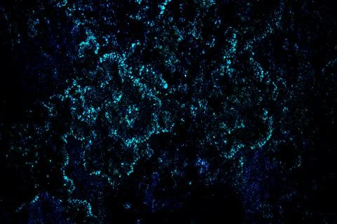 Rocks background another planet Stock Photos