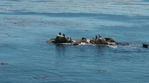 Rocks in the Bay Stock-Footage 11883887