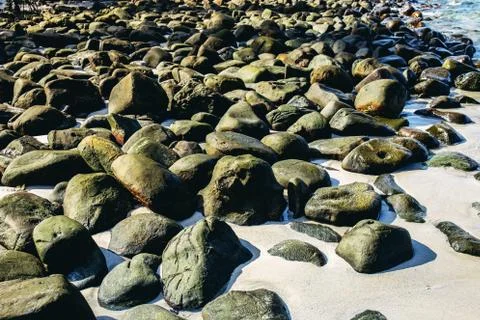 Rocks on beach with background. 스톡 사진
