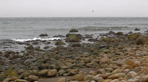 Rocks On The Beach 库存影片 25952910