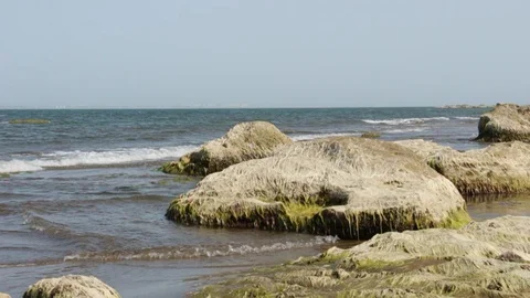 Rocks on the beach Stock Footage 113462496