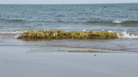 Rocks on the beach Stock Footage 113467107