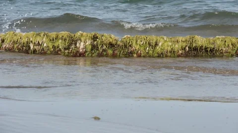 Rocks on the beach Stock Footage 113470911