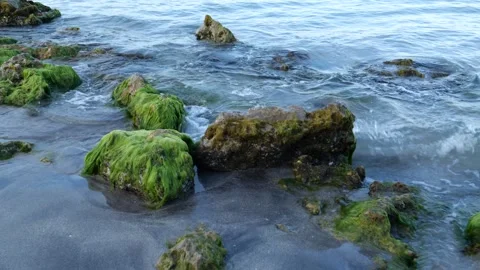 Rocks on beach Stock Footage 155815564