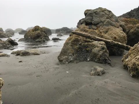 Rocks on the Beach Stock Photos