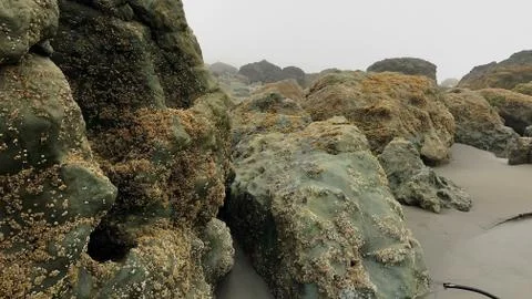 Rocks on the Beach Stock Photos