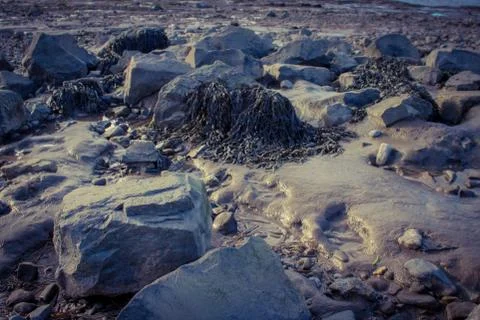 Rocks on the beach Stock Photos